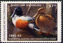 Northern shoveler (Spatula clypeata)