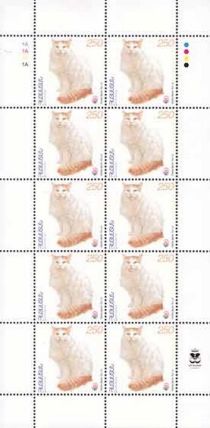 Turkish Van (Felis silvestris catus) - Overprint