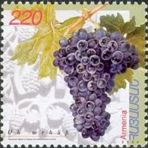 Black Areni Grapes