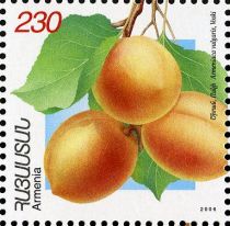 Voski Apricots (Armeniaca vulgaris)