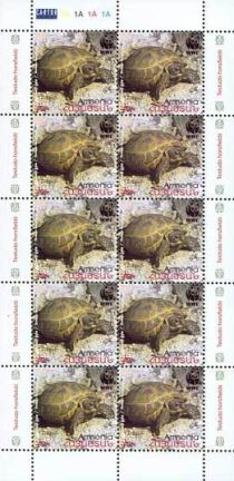 Horsfield's Tortoise (Testudo horsfieldii)