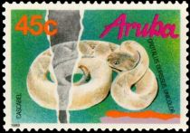 Aruba Rattlesnake (Crotalus durissus unicolor)