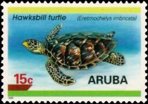 Hawksbill Turtle (Eretmochelys imbricata)