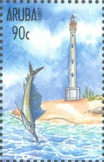 Sailfish (Istiophorus nigricans)