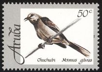 Tropical Mockingbird (Mimus gilvus)