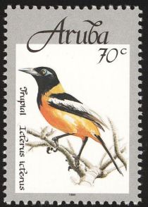 Venezuelan Troupial (Icterus icterus)