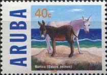 African Wild Ass (Equus asinus)