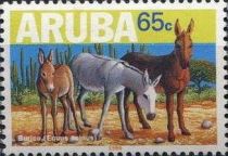 African Wild Ass (Equus asinus)