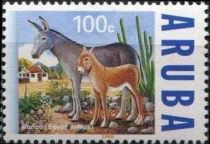 African Wild Ass (Equus asinus)