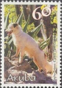 Creole Domestic Dog (Canis lupus familiaris)