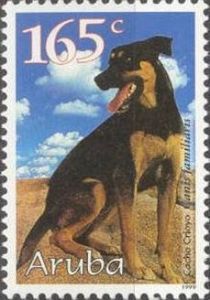 Creole Domestic Dog (Canis lupus familiaris)