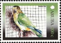 Brown-throated Parakeet (Eupsittula pertinax)