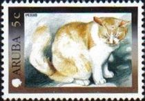 Domestic Cat (Felis silvestris catus)