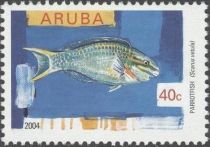 Queen Parrotfish (Scarus vetula)