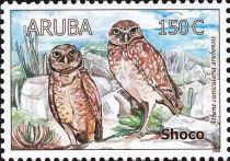 Burrowing Owl (Athene cunicularia arubensis)