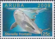 Atlantic Spotted Dolphin (Stenella frontalis)