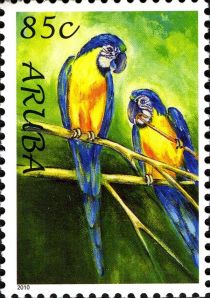 Blue-and-yellow Macaw (Ara ararauna)