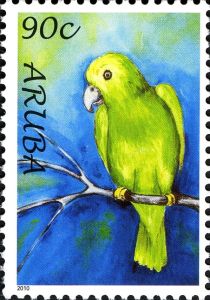 Yellow-faced Parrot (Alipiopsitta xanthops)