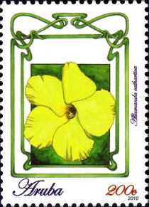 Allamanda cathartica