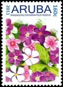 Magdalena (Catharanthus roseus)