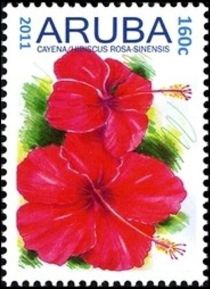 Cayena (Hibiscus rosa-sinensis)