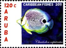 Foureye Butterflyfish (Chaetodon capistratus)