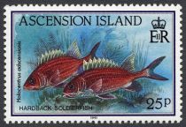 Squirrelfish (Holocentrus adscensionis)