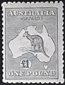 Kangaroo and map