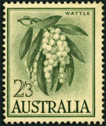 Wattle