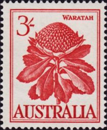 Waratah