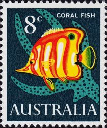 Coral Fish (Chelmon rostratus)