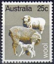 Sheep (Ovis ammon) - Wool