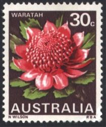 Waratah (Telopea speciosissima), New South Wales - type II