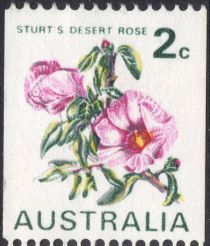 Sturt's Desert Rose 2c coil stamp type I