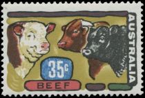 Primary Industries - Beef