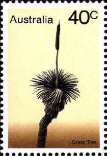 Grass Tree (Xanthorrhoea australis)