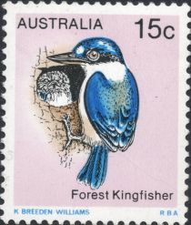 Forest Kingfisher (Todiramphus macleayii)