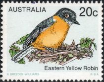 Eastern Yellow Robin (Eopsaltria australis)