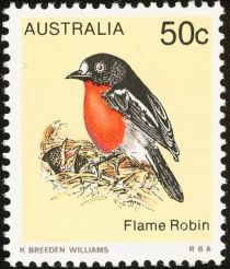 Flame Robin (Petroica phoenicea)