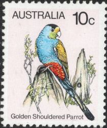 Golden Shouldered Parrot (Psephotellus chrysopterygius)