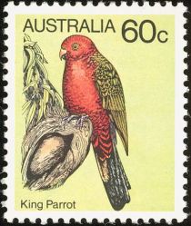 King Parrot (Alisterus scapularis)