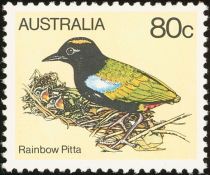 Rainbow Pitta (Pitta iris)