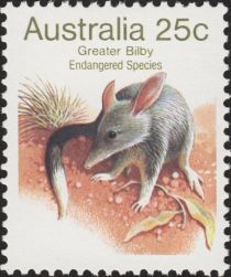 Greater Bilby (Macrotis lagotis) - P(12¾)