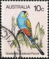 Golden Shouldered Parrot (Psephotellus chrysopterygius)