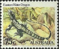 Eastern Water Dragon (Physignathus lesueurii) - perf: 12¾