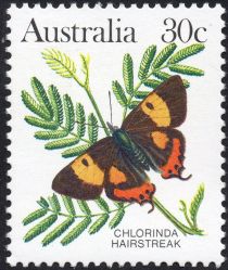 Chlorinda Hairstreak (Pseudalmenus chlorinda)