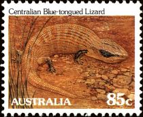 Centralian Blue-tongued Lizard (Tiliqua multifasciata)