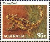 Thorny Devil (Moloch horridus)