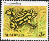 Corroboree Frog (Pseudophryne corroboree) Perf:14 x 14½