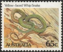 Yellow-faced Whip Snake (Demansia psammophis) - P(14 x 14½)